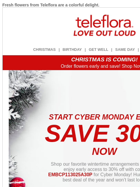 teleflora newsletter: Cyber Monday Early Access🔥👉 30% Off All Flowers