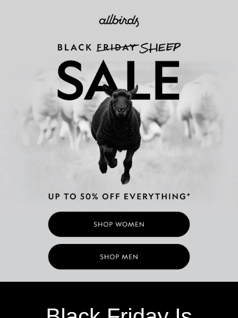 allbirds newsletter: Last Call For Up To 50% Off