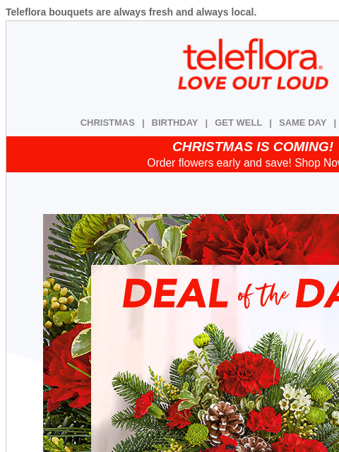 teleflora newsletter: Cyber Monday Starts Now 💚 30% Off Festive Bouquet...