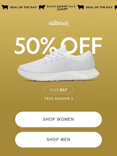 allbirds newsletter: Deal Alert 🚨50% Off Dashers