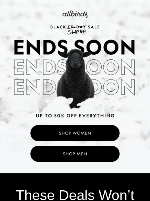 allbirds newsletter: Last Hours For Heavy Hitters