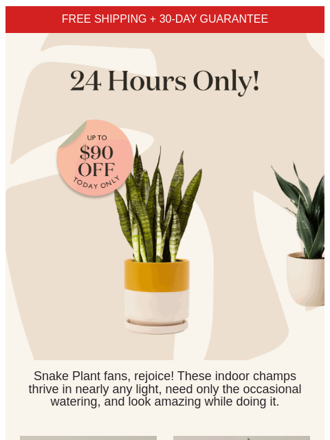 And it's the #1 laidback plant (hint: 🐍) ͏ ͏ ͏ ͏ ͏ ͏ ͏ ͏ ͏ ͏ ͏ ͏ ͏ ͏ ͏ ͏ ͏ ͏ ͏ ͏ ͏ ͏ ͏ ͏ ͏ ͏ ͏ ͏ ͏ ͏ ͏ ͏ ͏ ͏ ͏ ͏ ͏ ͏ ͏ ͏ ͏ ͏ ͏ ͏ ͏ ͏ ͏ ͏ ͏ ͏ ͏ ͏ ͏ ͏ ͏ ͏ ͏ ͏ ͏ ͏ ͏ ͏ ͏ ͏ ͏ ͏ ͏ ͏ ͏ ͏ ͏ ͏ ͏ ͏ ͏ ͏ ͏ ͏