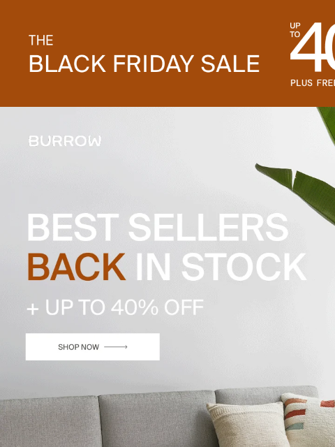 burrow newsletter: THEY'RE BACK. AND ON SALE.