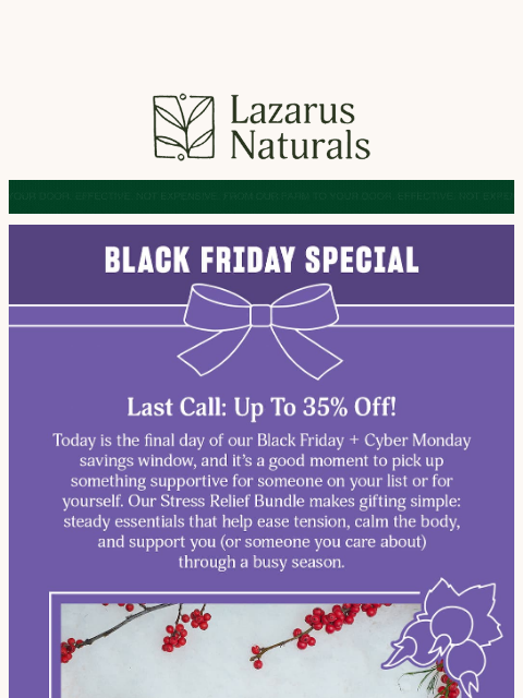 lazarusnaturals newsletter: ⏳Hey Friend, Clock’s Ticking: Black Friday Ends To...