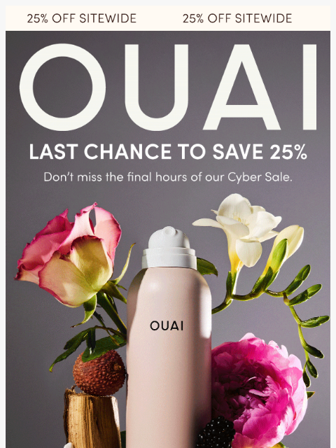 theouai newsletter: FINAL HOURS: 25% off everything