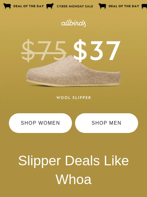 allbirds newsletter: Cozy Up To Big Savings