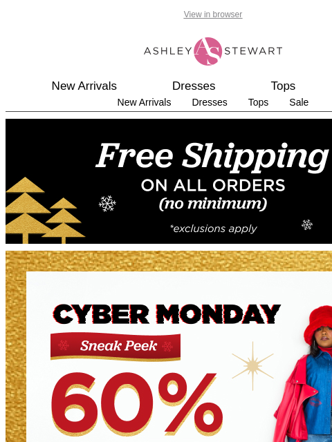 ashleystewart newsletter: The 2025 gift guide is HERE! (60% off + free shipp...