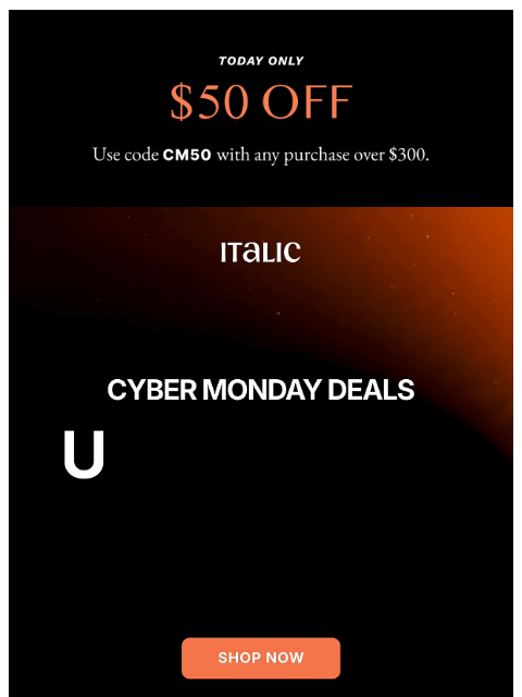 italic newsletter: Cyber Monday Offers Are HERE! 🎉