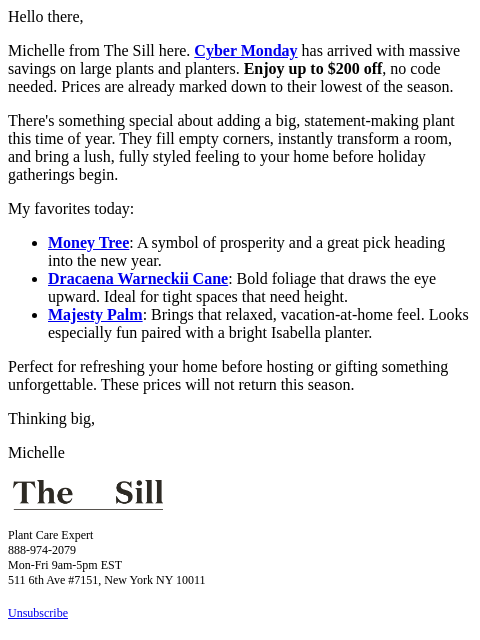 thesill newsletter: Cyber Monday calls for a big one!