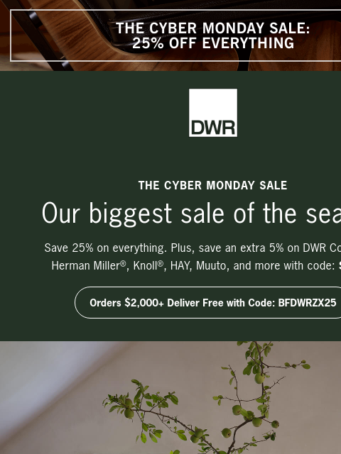 dwr newsletter: Our biggest sale of the season ends tomorrow