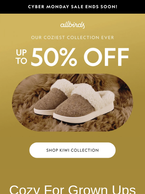 allbirds newsletter: Up To 50% Off Serious Coziness