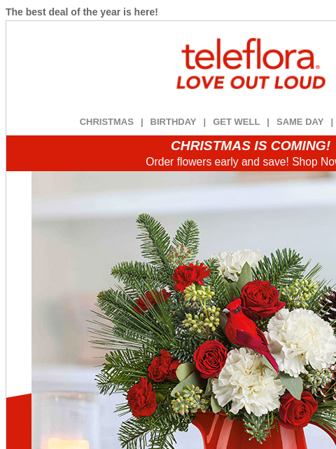 teleflora newsletter: Best Deal of the Year 🔥 30% Off All Flowers