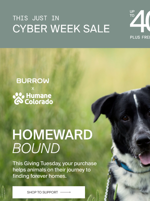 burrow newsletter: Every Purchase Today Supports Shelter Animals 🐾