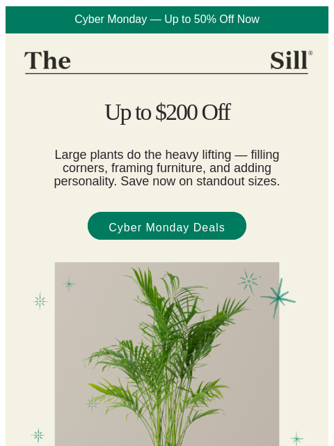thesill newsletter: Up to 6ft tall and $200 off 💫