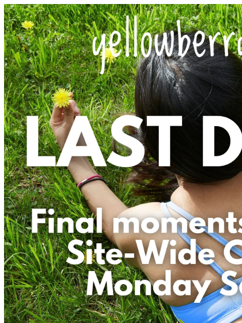 yellowberrycompany newsletter: LAST CHANCE!