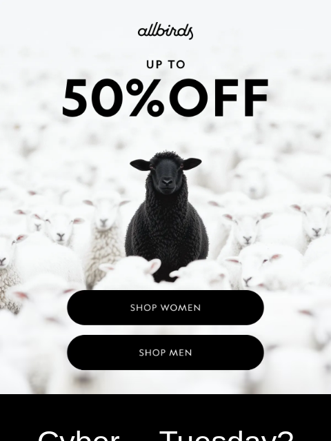 allbirds newsletter: This Cyber Monday Deserves An Encore