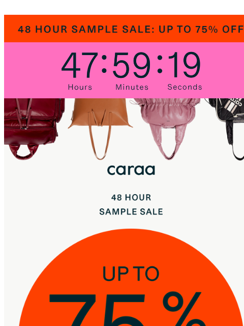 caraa newsletter: 48 Hours Only: Sample Sale Starts Now ✨