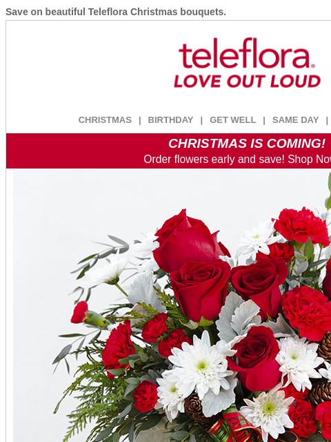 teleflora newsletter: Order Early and Save 🔥 25% Off Christmas Flowers