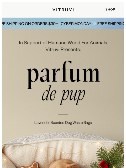 vitruvi newsletter: NEW: For Your Doggie’s Stocking! Parfum de Pup Bag...