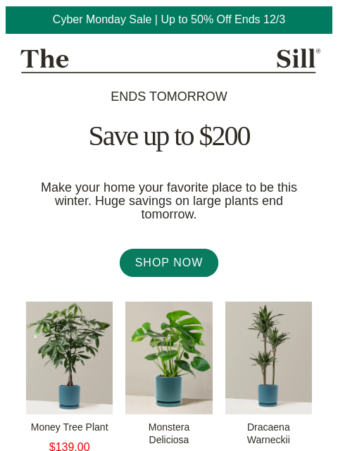 thesill newsletter: 🏷️ More Large Plants Added!