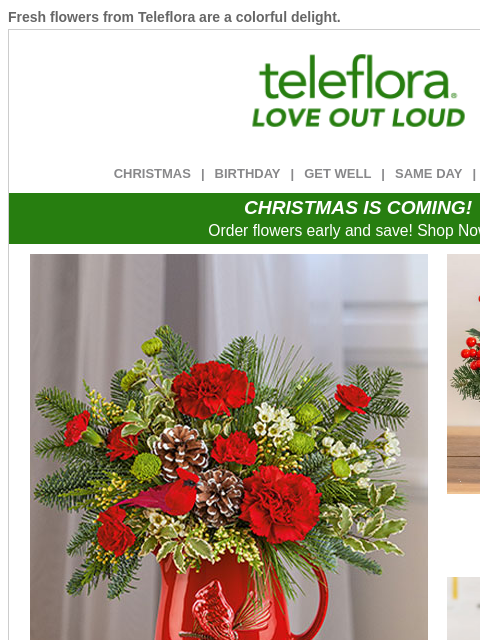 teleflora newsletter: Save 25% on Merry & Bright Bouquets 💐