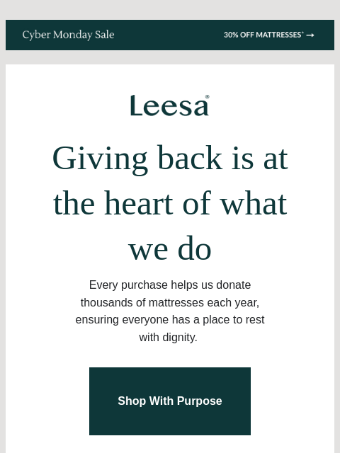 leesasleep newsletter: Shop with purpose this giving Tuesday