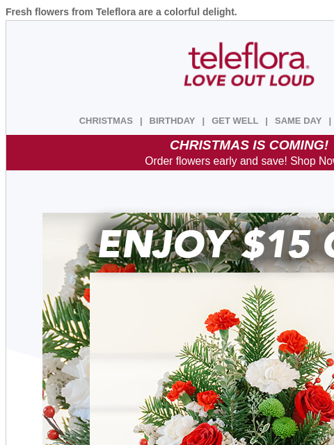 teleflora newsletter: 🎄Spruce Up and Take $15 Now🎄