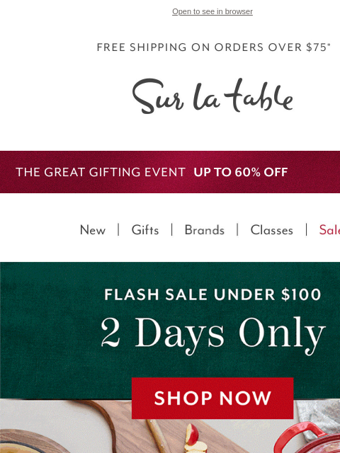 surlatable newsletter: 2 Days Only! Flash Sale Under $100