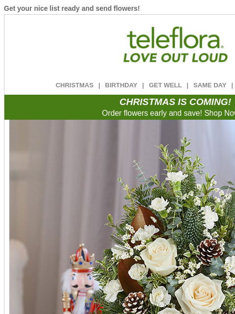 teleflora newsletter: 25% Off | Check Off Your Nice List🎅
