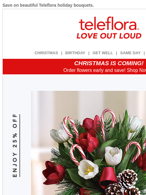 teleflora newsletter: 25% Off Cheery Holiday Bouquets 🎄🌟