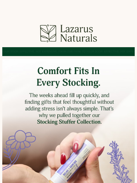 lazarusnaturals newsletter: 🎁 Stocking Stuffers made easy with 25% Off!