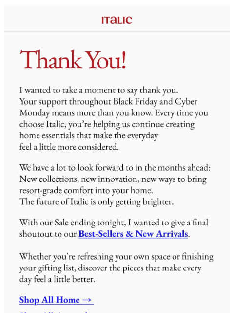 italic newsletter: Thank You For All Your Support 🧡