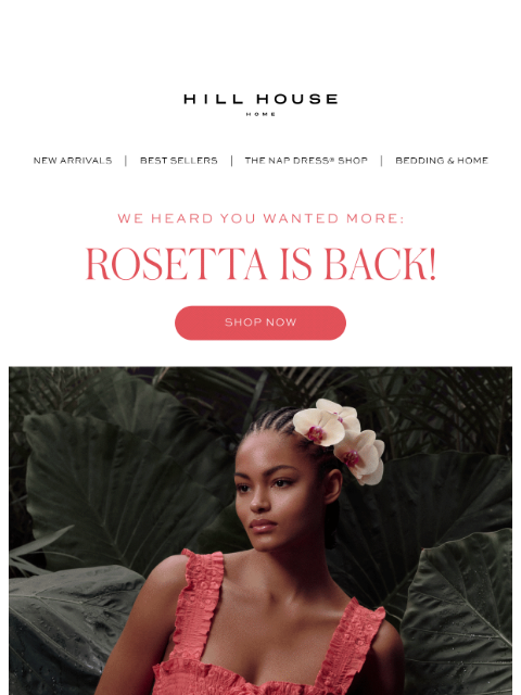 hillhousehome newsletter: BACK IN STOCK! 🤍