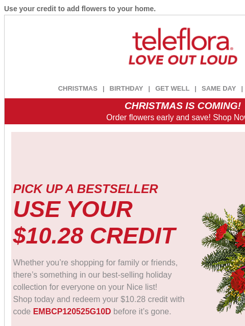 teleflora newsletter: Use Your [$10.28 Credit] 🎁🎄Grab Our Best Now