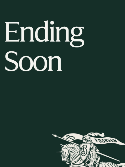 burberry newsletter: Private Sale: last chance to shop