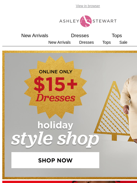 ashleystewart newsletter: $15+ DRESSES!👗 Perfect for all your occasions🎄