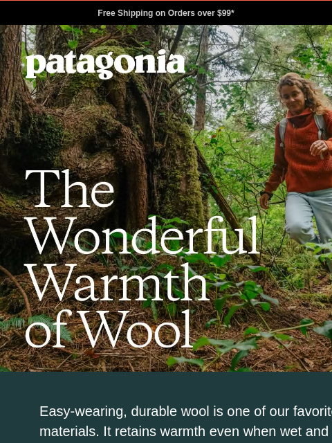 patagonia newsletter: Cozy and warm wool sweaters