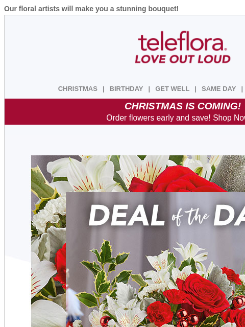 teleflora newsletter: Seize This Deal 🎉 $15 Off Festive Flowers