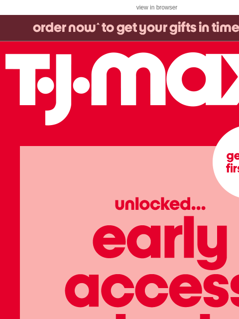 tjmaxx newsletter: Shop this 24-HR early access exclusive ⏳