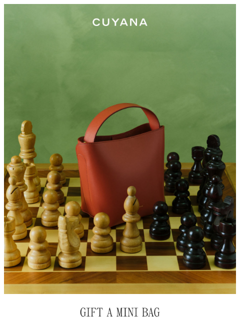cuyana newsletter: Gift a Mini Bag