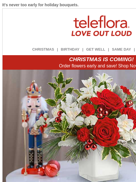 teleflora newsletter: 20% Off Blooms for the Season 🎅🌺