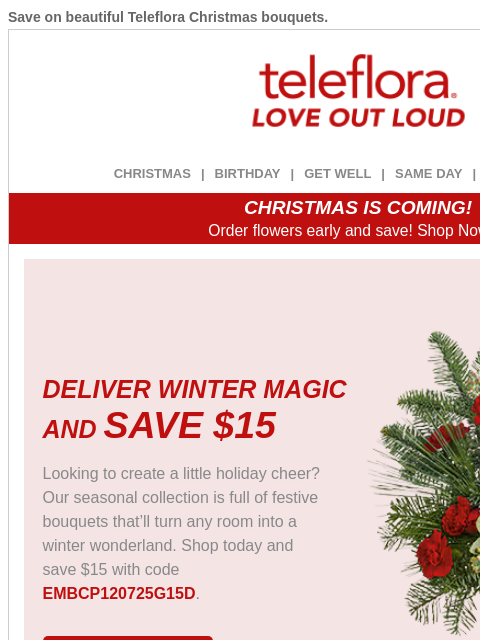 teleflora newsletter: Deliver Winter Magic with $15 Off ❄️