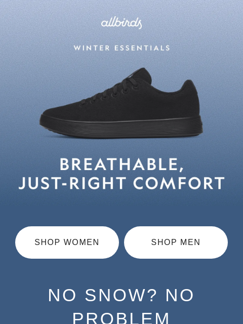 allbirds newsletter: Breathable Shoes For Everyday