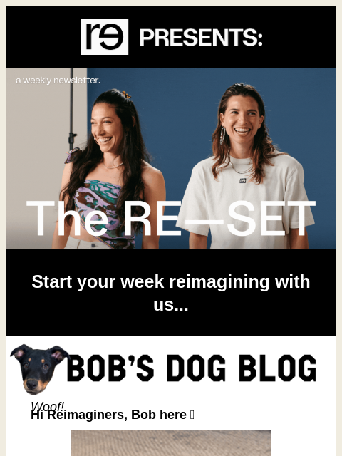 re-website newsletter: Bob's Dog Blog: It's the Howl-iday Season ❄️