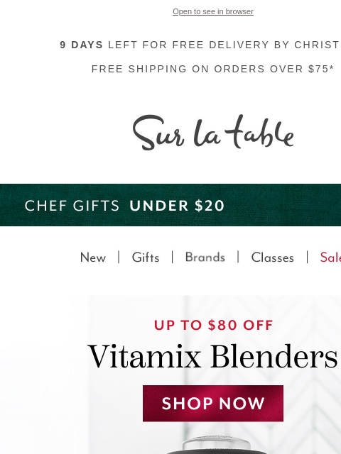 surlatable newsletter: 🎄 Merry Mix-mas! Save on Vitamix blenders
