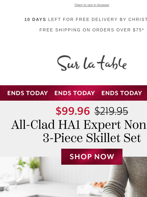 surlatable newsletter: Last Day: All-Clad at only $99.96!