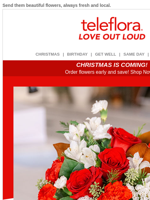 teleflora newsletter: You’ve Earned a [$15.19] Credit