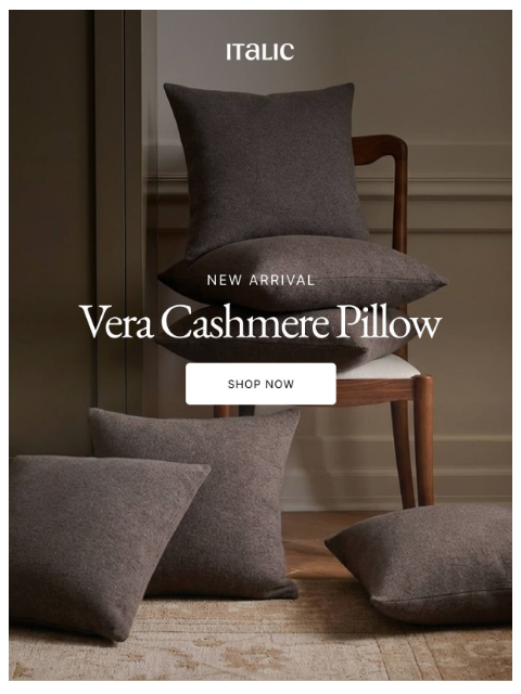 italic newsletter: NEW Vera Cashmere Throw Pillow.