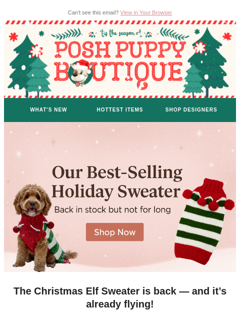 poshpuppyboutique newsletter: 🎄 Our #1 Best-Selling Holiday Sweater Is Back