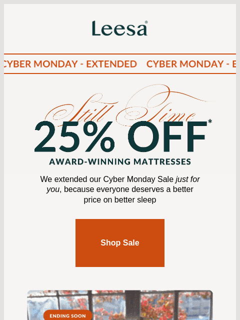 leesasleep newsletter: Cyber Monday savings have been extended!